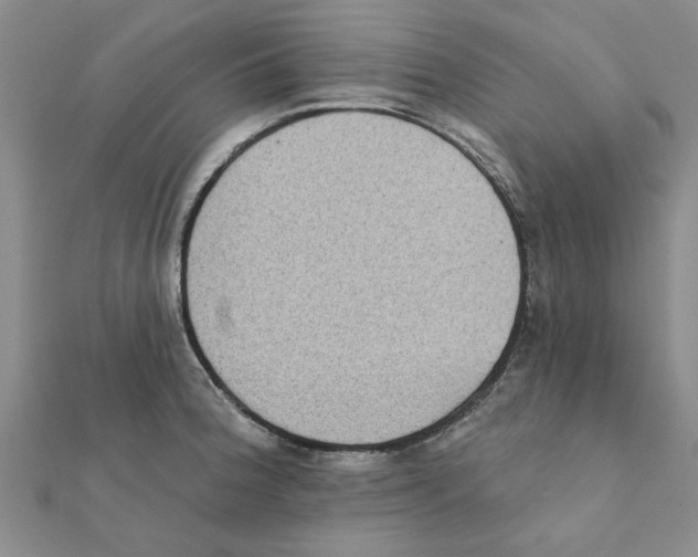 X0000111221188200907301219