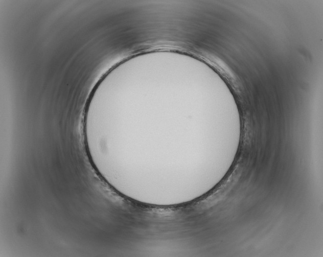 X0000111221190200907301219
