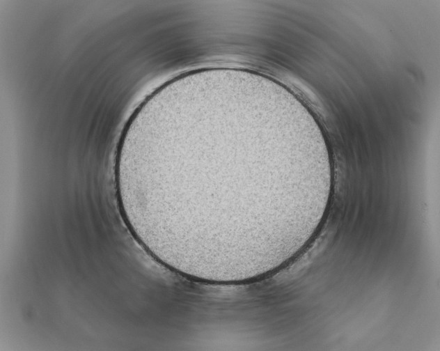 X0000111221192200907301219