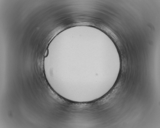 X0000111221193200907301219
