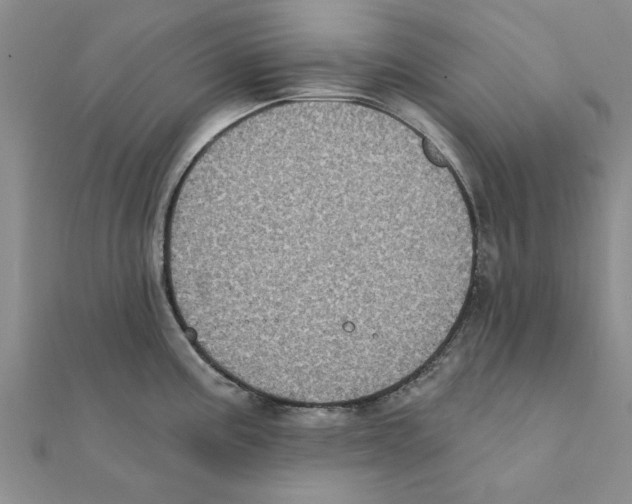 X0000111221195200907301219