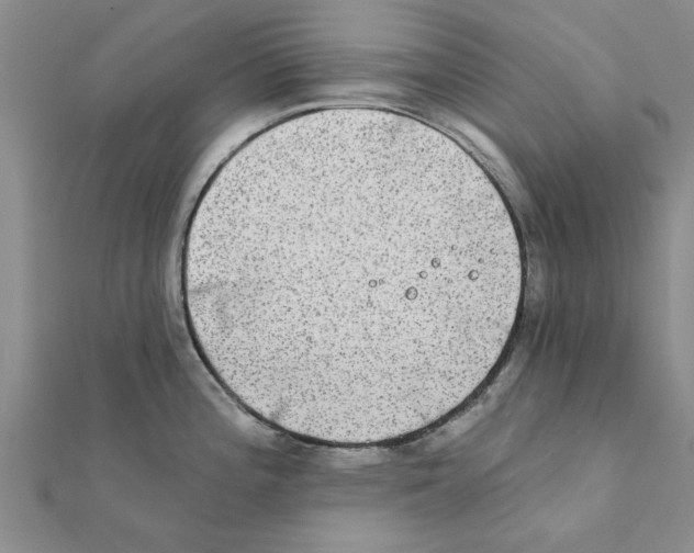 X0000111221196200907301219