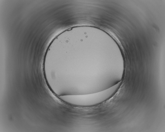 X0000111221197200907301219
