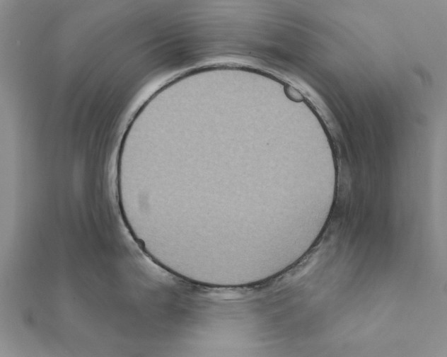 X0000111221199200907301219
