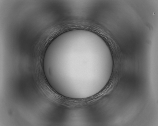 X0000111221202200907301218