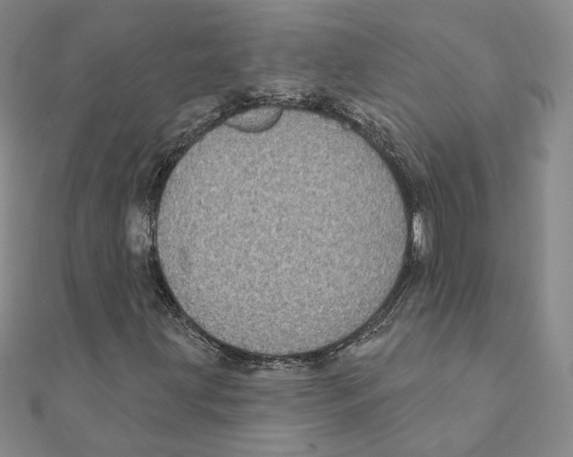 X0000111221203200907301218