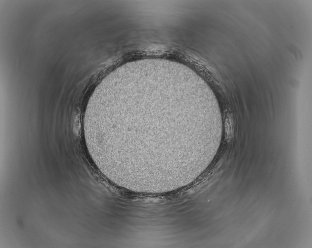 X0000111221204200907301218
