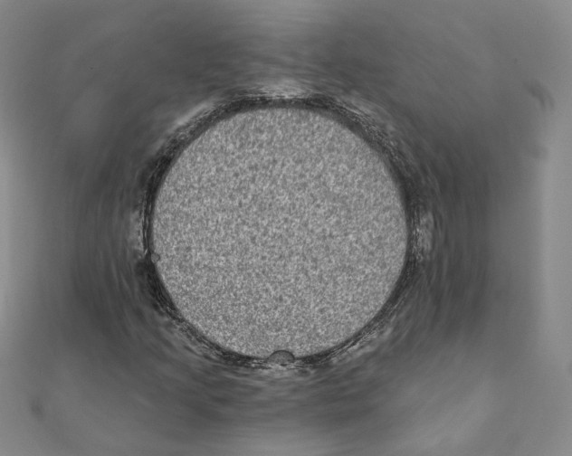X0000111221205200907301218