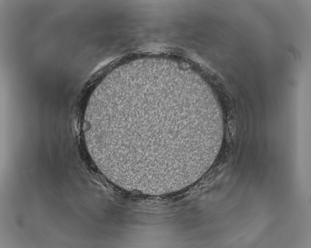 X0000111221206200907301218
