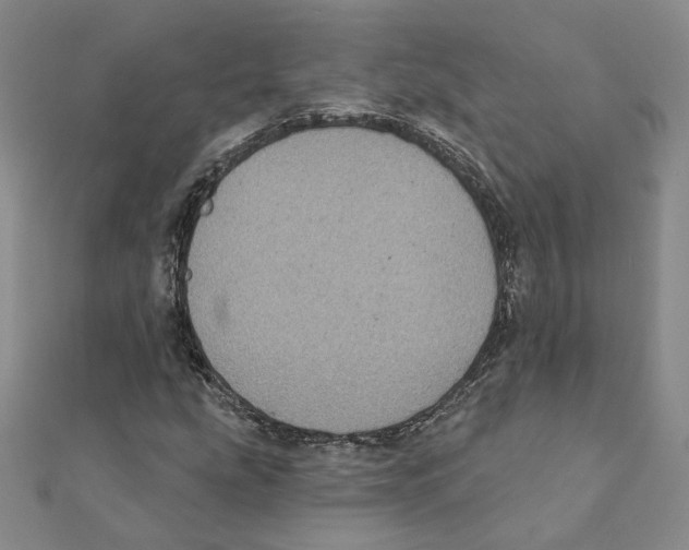 X0000111221207200907301218