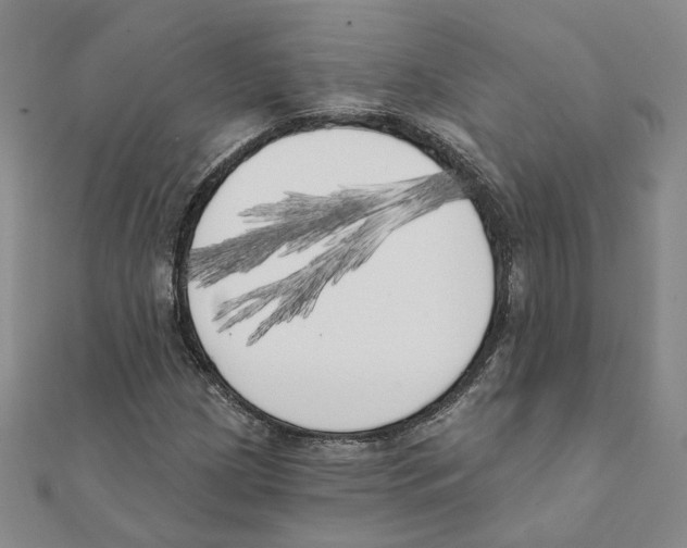 X0000111221209200907301218