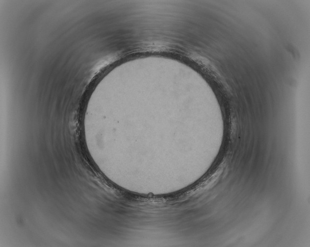 X0000111221210200907301218