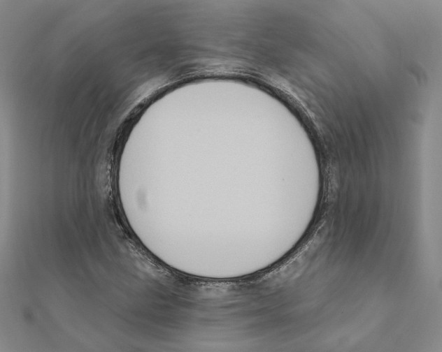 X0000111221211200907301218