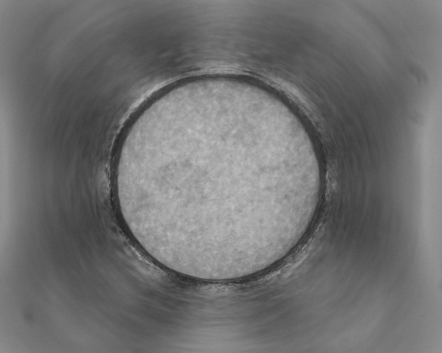 X0000111221212200907301218