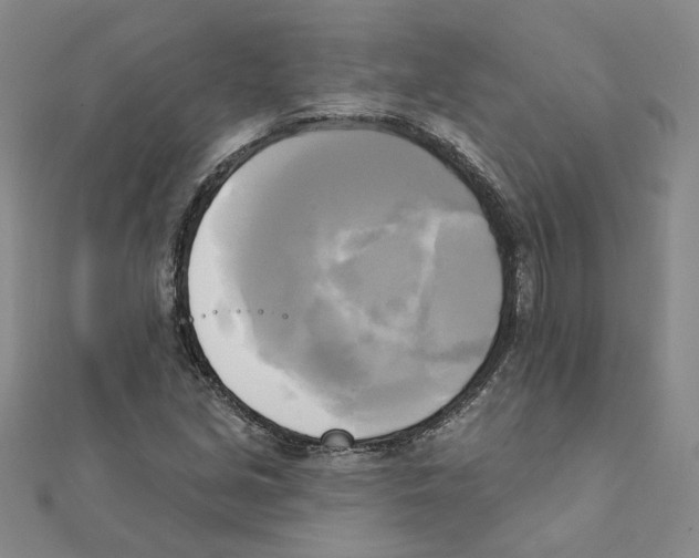 X0000111221213200907301218