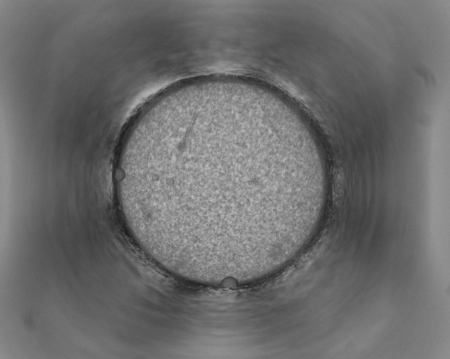 X0000111221214200907301218