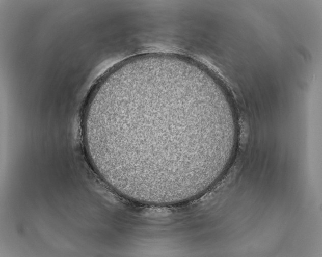 X0000111221215200907301218