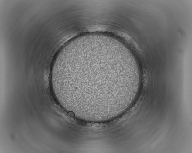 X0000111221217200907301218