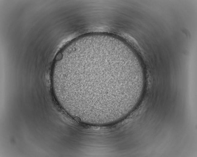 X0000111221218200907301218