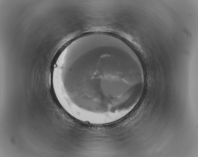 X0000111221221200907301218