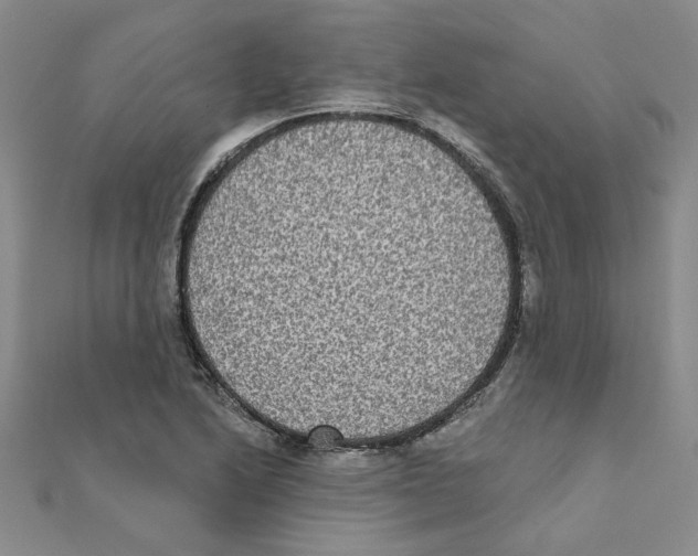 X0000111221222200907301218