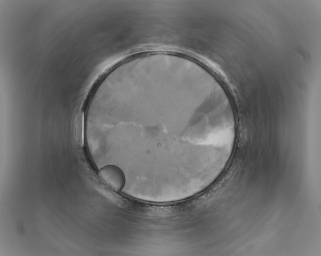 X0000111221223200907301218