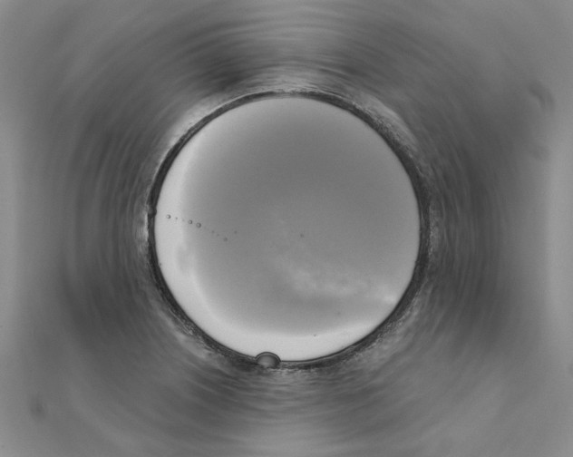 X0000111221226200907301218