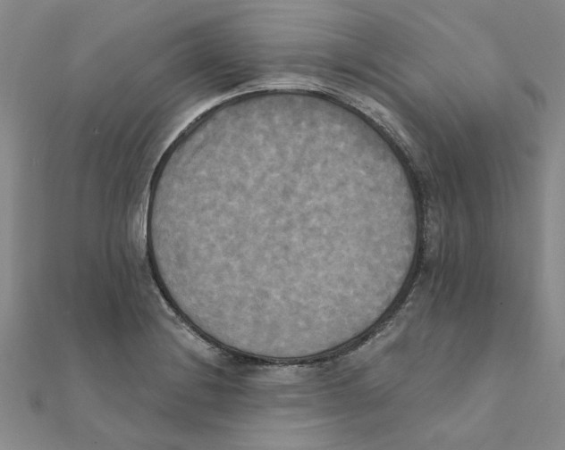 X0000111221228200907301218