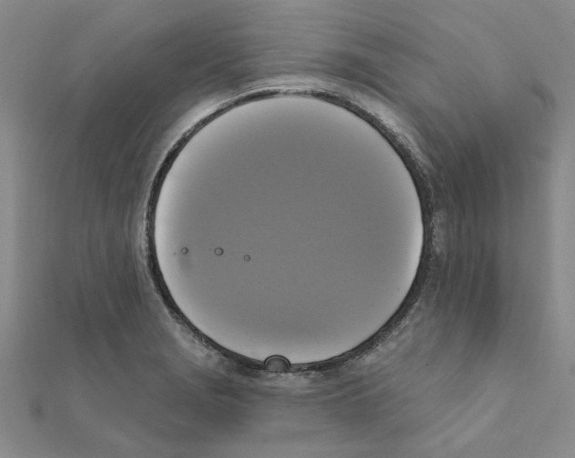X0000111221229200907301218