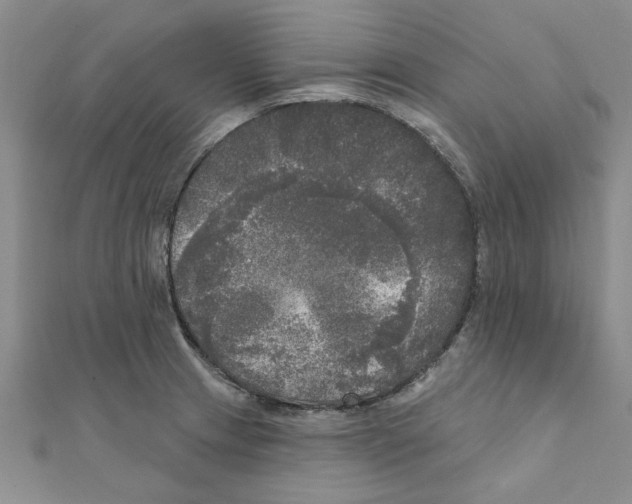 X0000111221233200907301218