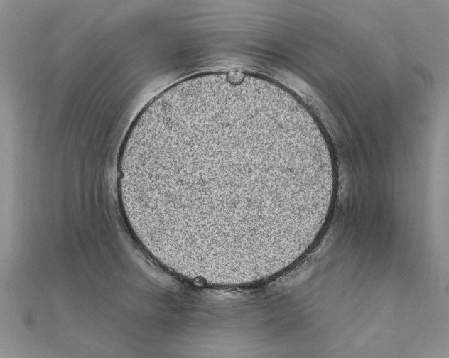 X0000111221234200907301218