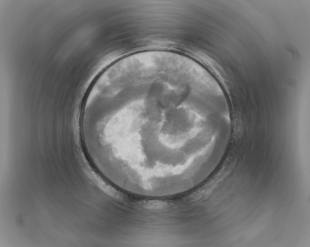 X0000111221235200907301218