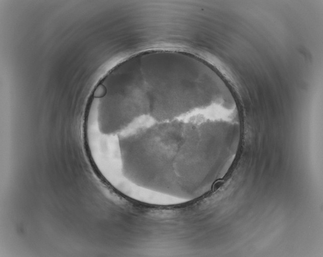 X0000111221237200907301218