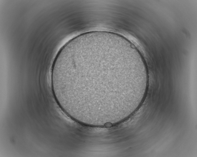 X0000111221238200907301218