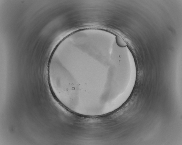 X0000111221239200907301218