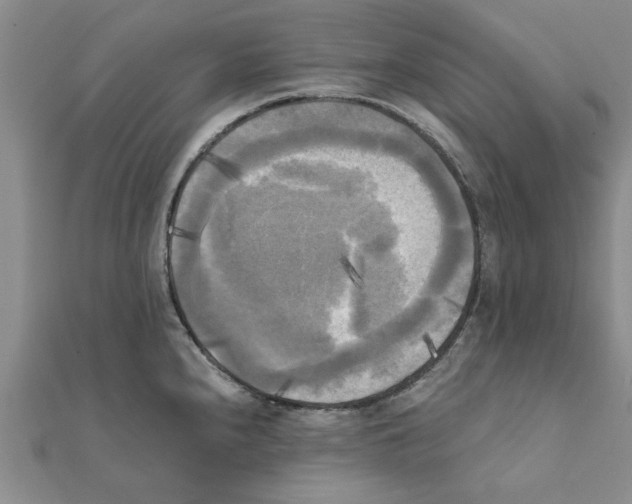 X0000111221240200907301218