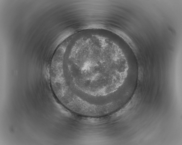 X0000111221241200907301219