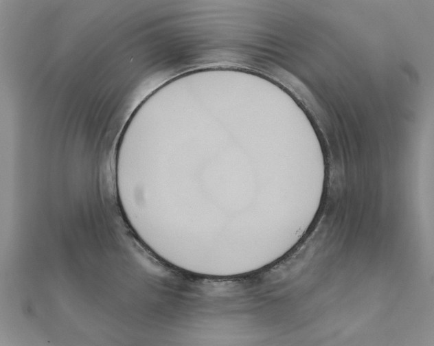 X0000111221242200907301219