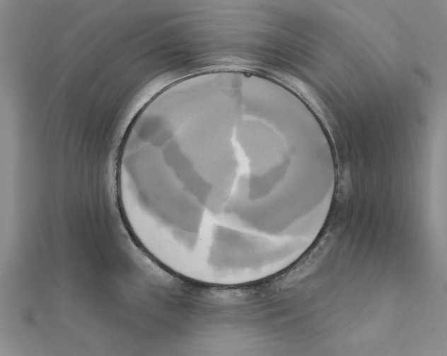 X0000111221243200907301219