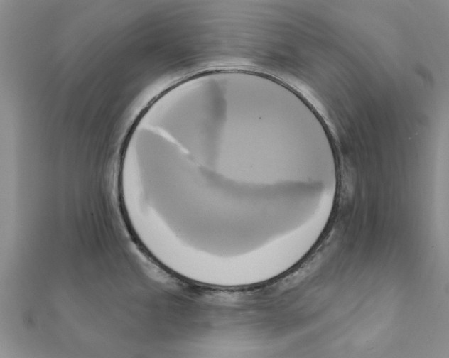 X0000111221245200907301219