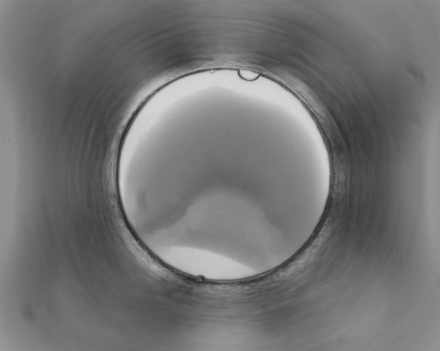X0000111221246200907301219