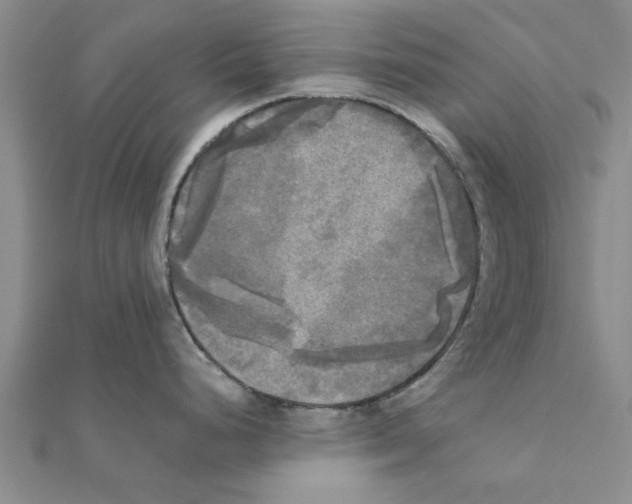X0000111221248200907301219