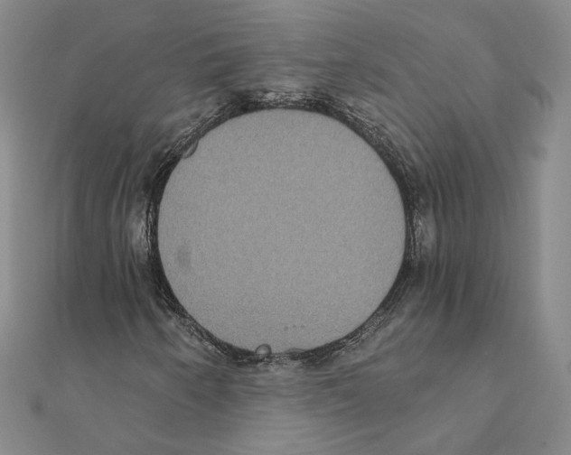 X0000111221250200907301218