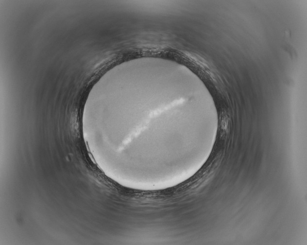 X0000111221252200907301218