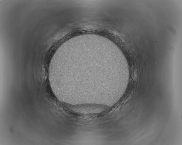 X0000111221253200907301218