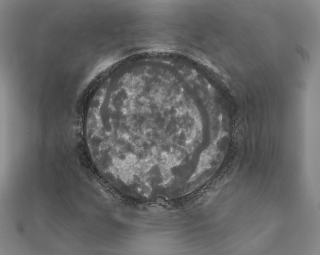 X0000111221255200907301218