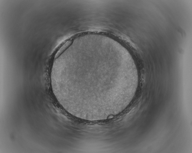 X0000111221256200907301218