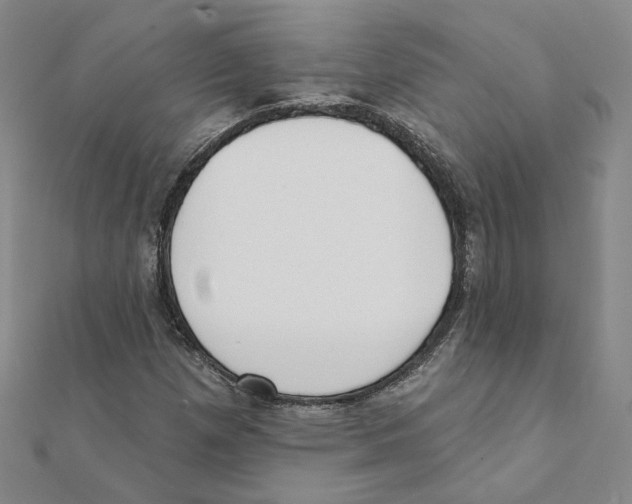 X0000111221257200907301218