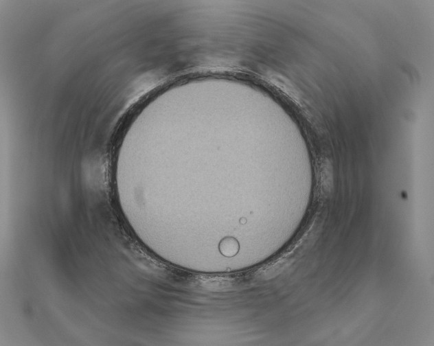 X0000111221258200907301218