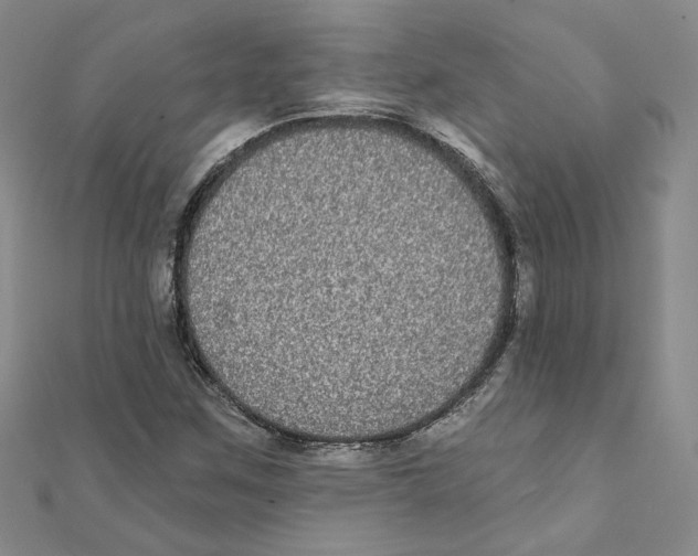 X0000111221259200907301218